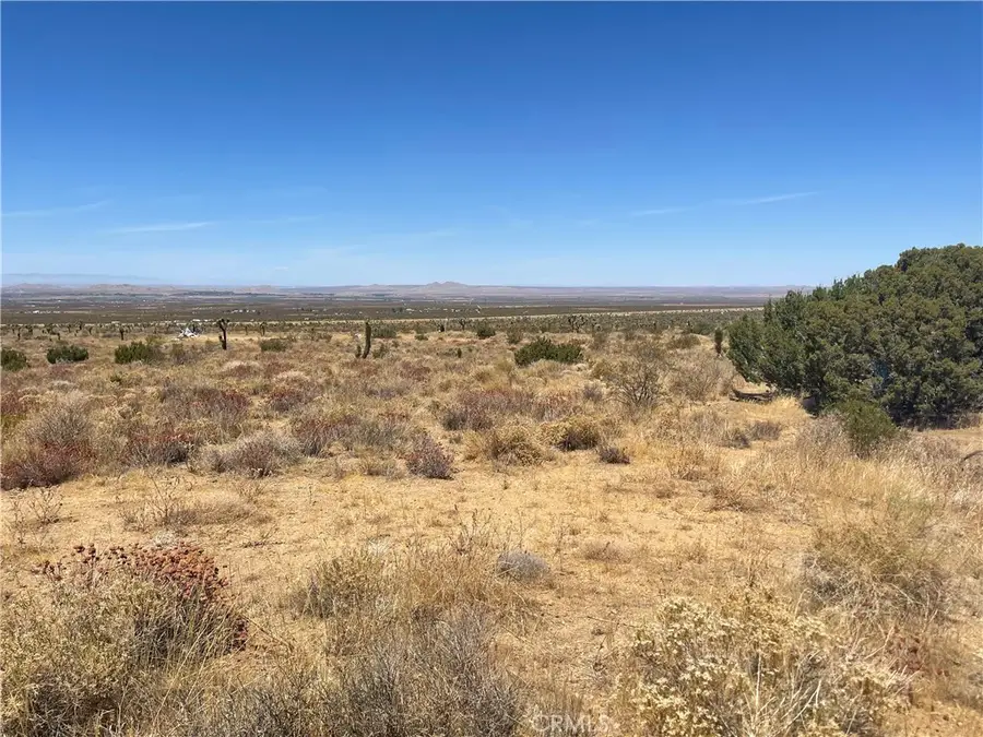 0 Vac Fort Tejon Drt Vic, Llano, CA 93544 - #2