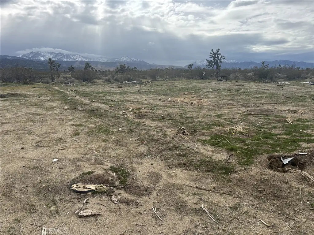 0 Vac/ave X Drt /vic 207 Ste, Llano, CA 93544 - #1