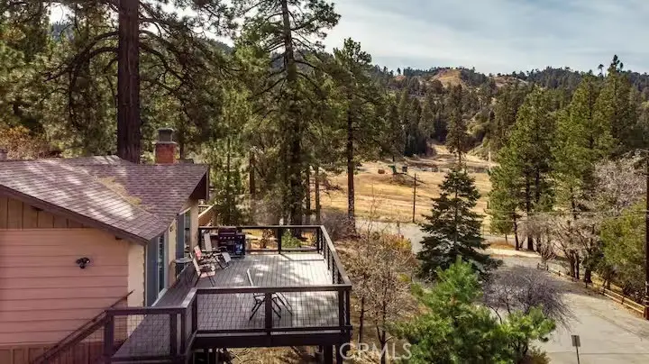43365 Primrose, Big Bear Lake, CA 92315 - #3
