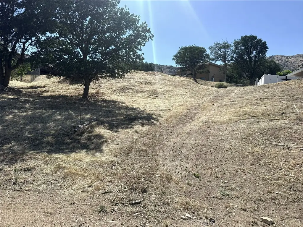 22801 Retreat Place, Golden Hills, CA 93561 - #1