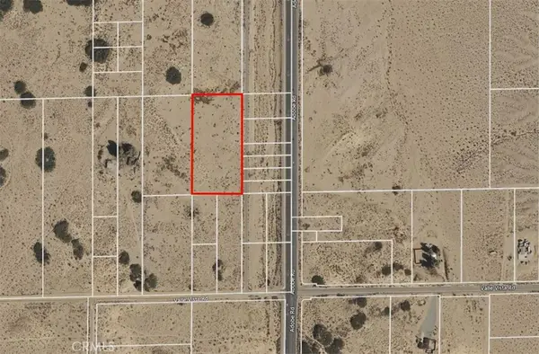 1 Cholla, 29 Palms, CA 92277