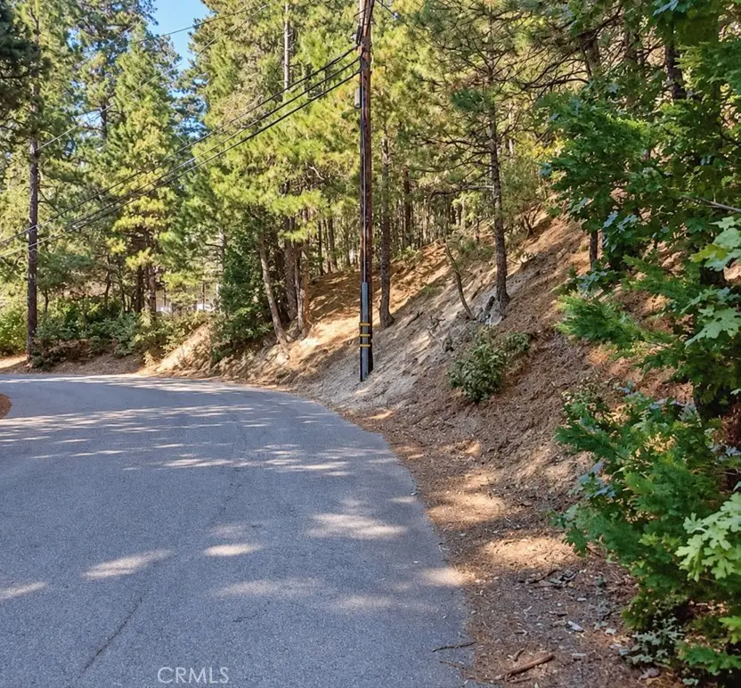131 Golf Course Road, Lake Arrowhead, CA 92352 - #2