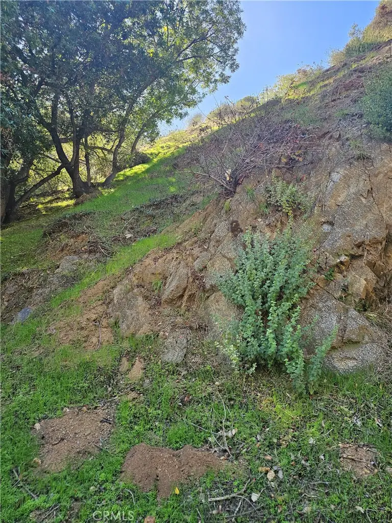 2145 Laurel Canyon Boulevard, Los Angeles, CA 90046 - #1