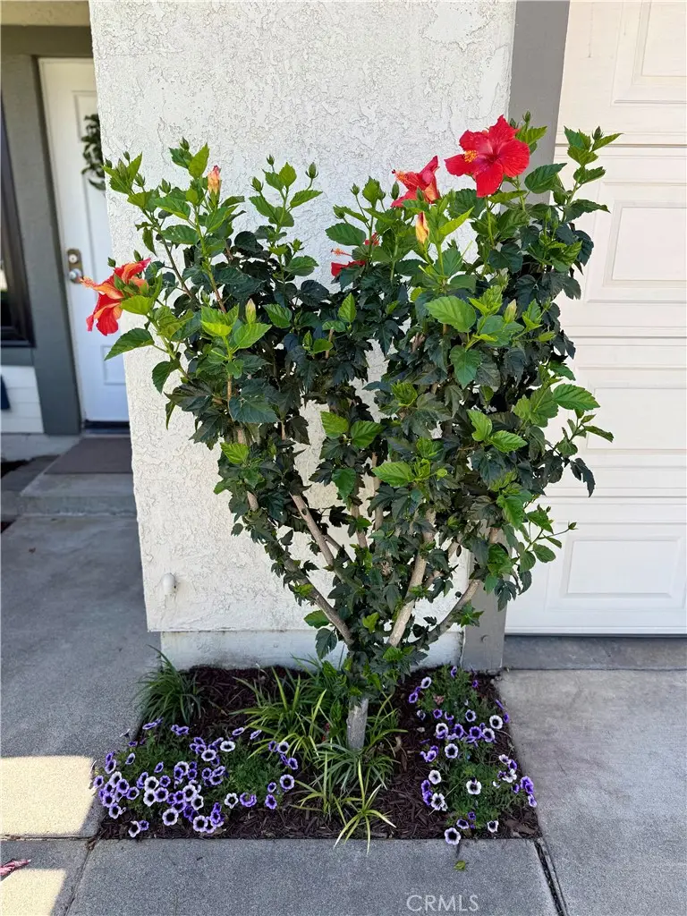 9042 Chaucer Circle, Riverside, CA 92503 - #3