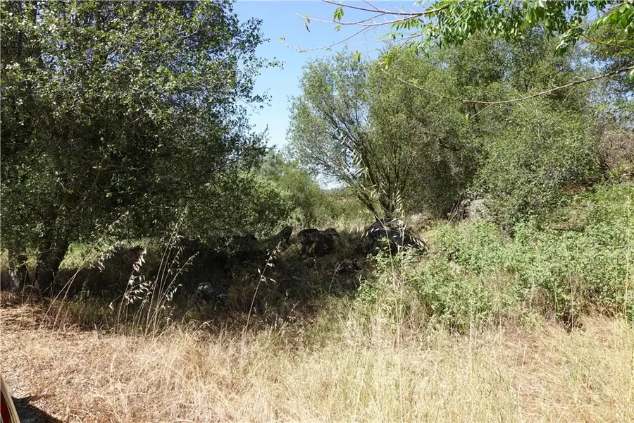 0 Running Deer Way, Coarsegold, CA 93614 - #2