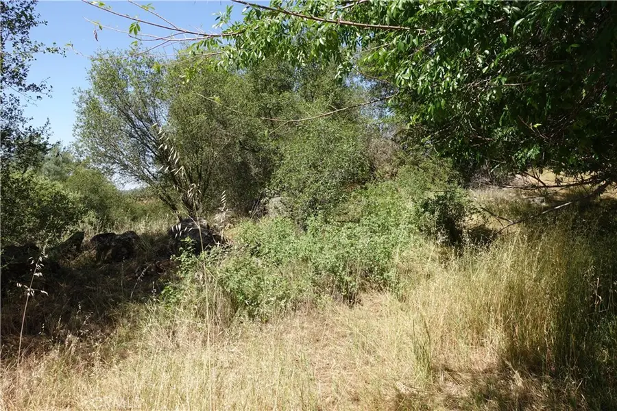 0 Running Deer Way, Coarsegold, CA 93614 - #3
