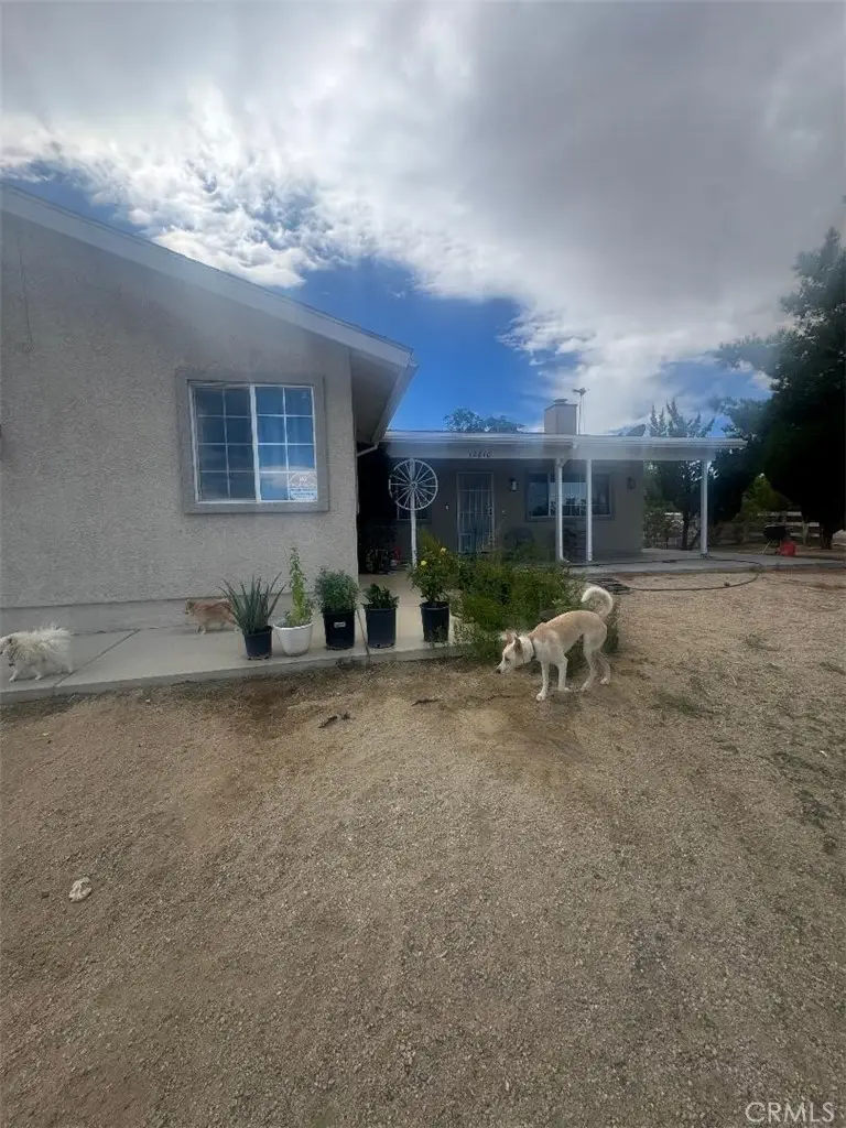 12810 E Avenue X, Pearblossom, CA 93553 - #3