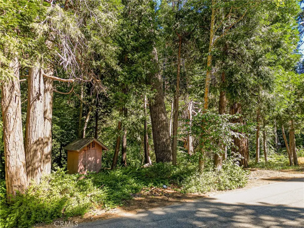 0 Cottage Grove Road, Lake Arrowhead, CA 92352 - #1