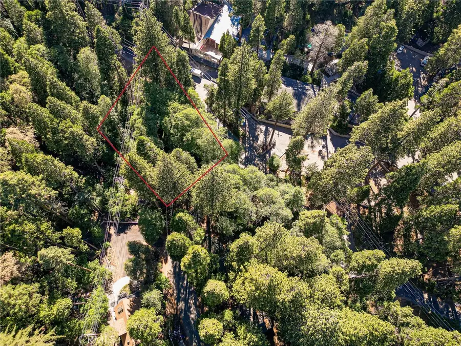 0 Cottage Grove Road, Lake Arrowhead, CA 92352 - #3