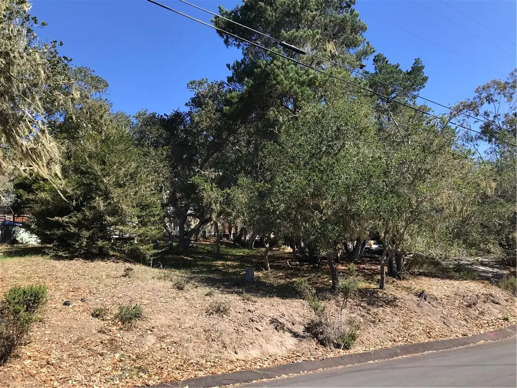0 Saint James Road, Cambria, CA 93428 - #1