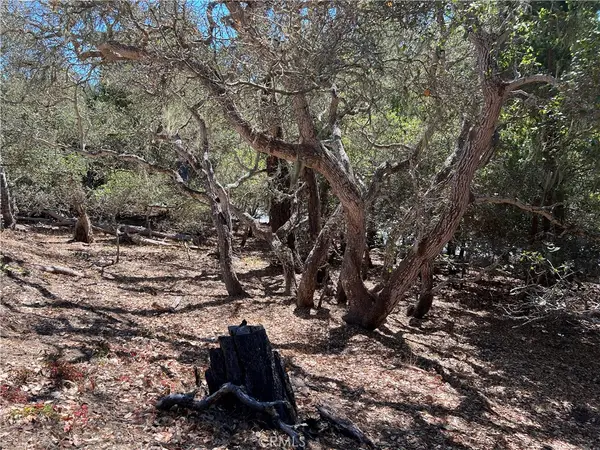 2275 Leona Drive, Cambria, CA 93428