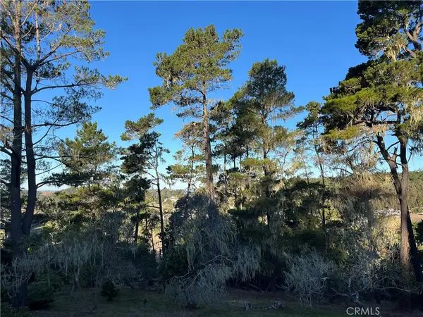 3235 Rogers, Cambria, CA 93428