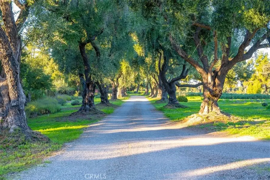 2480 Roblar Avenue, Los Olivos, CA 93441 - Image #3