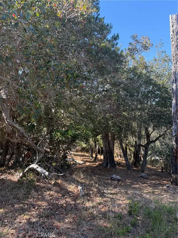 0 Melrose, Cambria, CA 93428