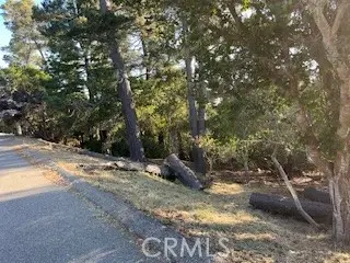 0 Bradford Road, Cambria, CA 93428 - #2