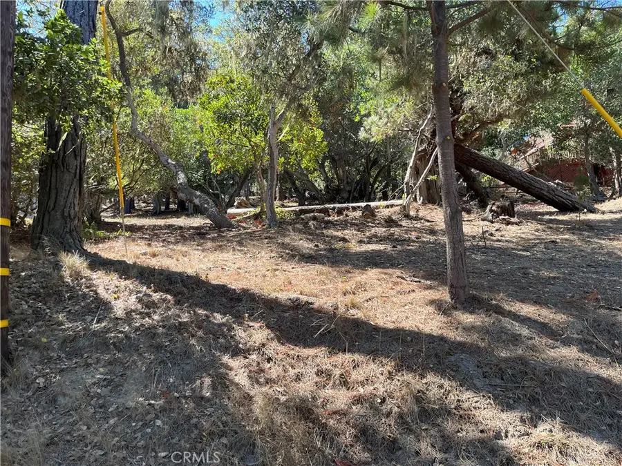 1840 Fern Drive, Cambria, CA 93428 - #3