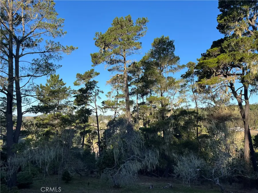 3235 Rogers, Cambria, CA 93428 - #2