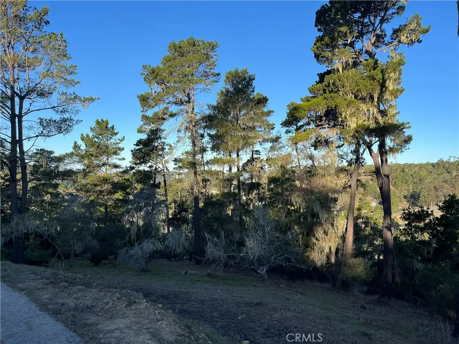 3235 Rogers, Cambria, CA 93428 - #3