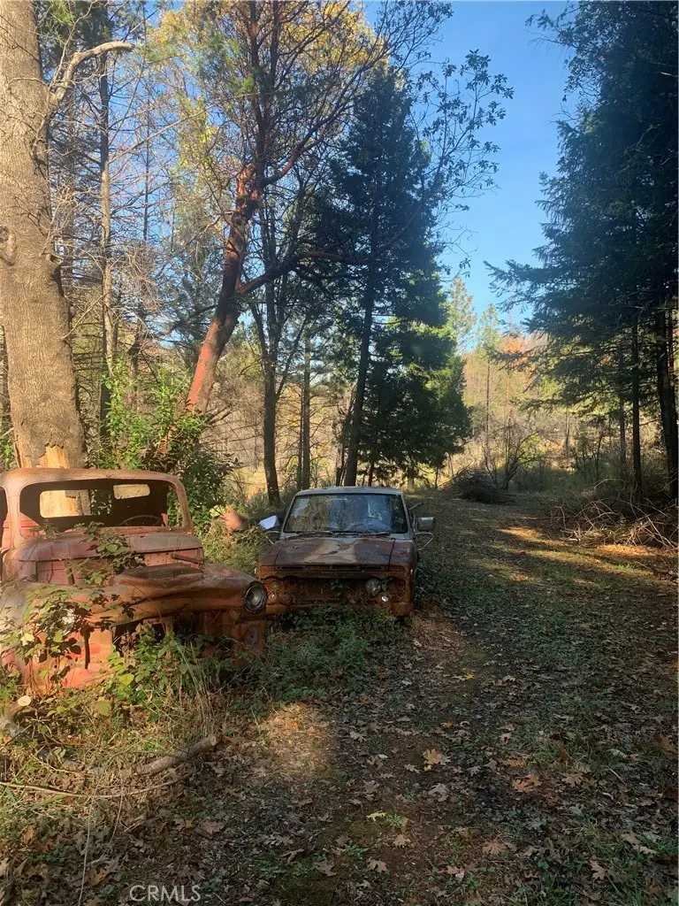 0 Four Trees Road, Concow, CA 95965 - Image #3