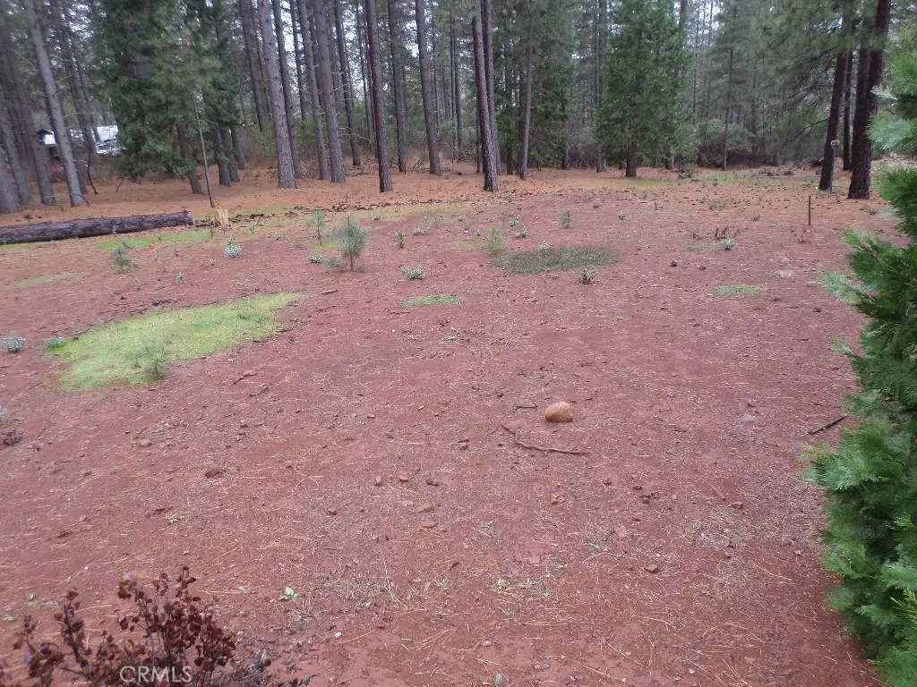 0 Mendocino Way, Cohasset, CA 95973 - Image #1