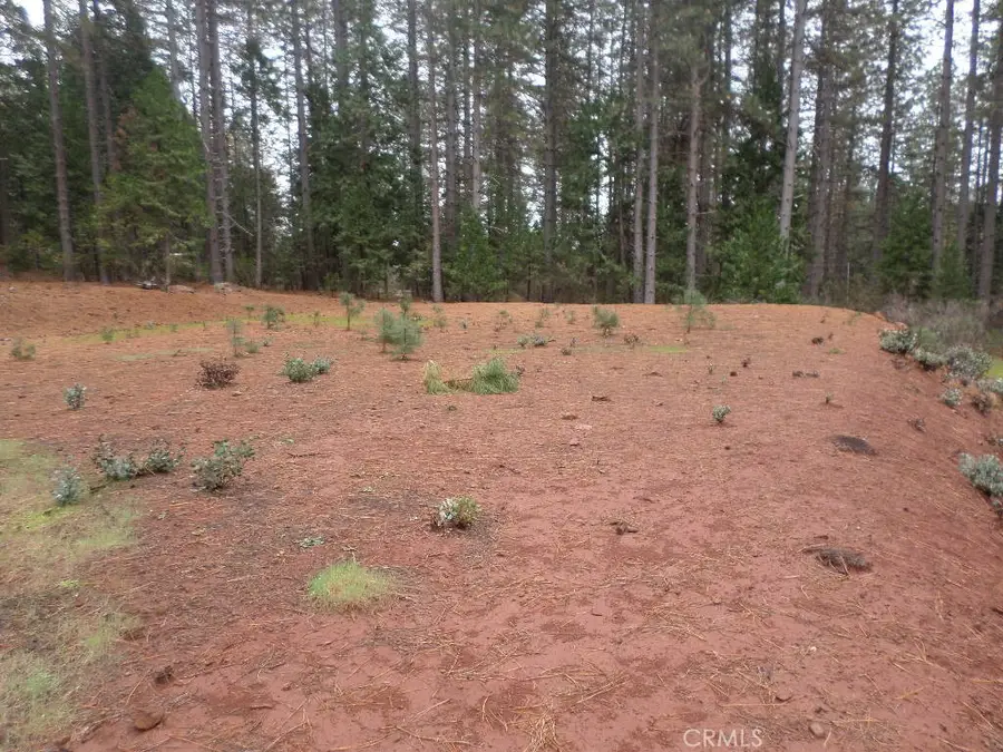 0 Mendocino Way, Cohasset, CA 95973 - Image #2