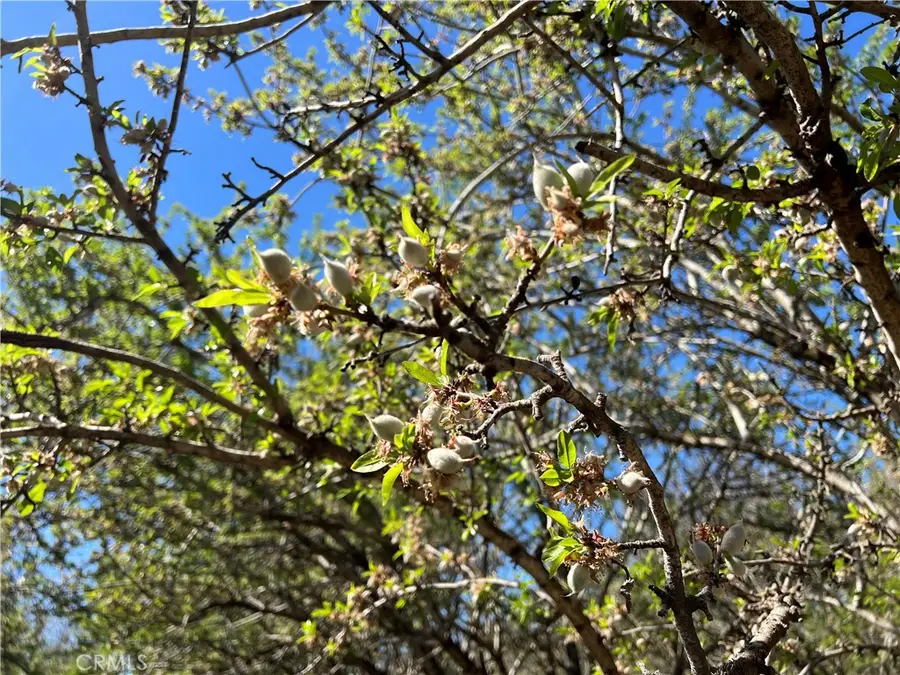 0 Cana Highway, Chico, CA 95973 - Image #2