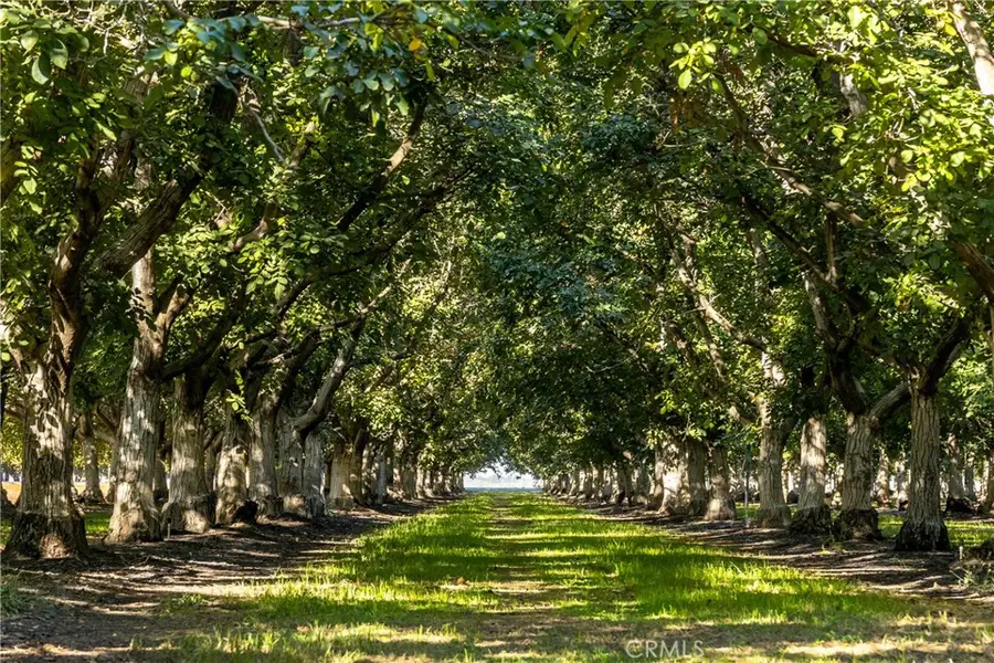 1604 Ca-45, Grimes, CA 95950 - Image #2