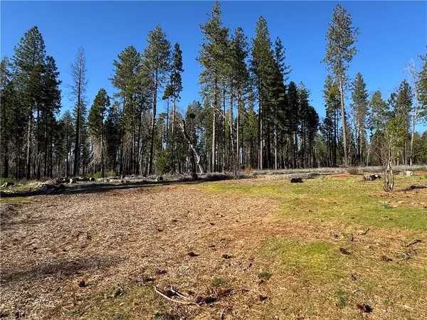 13787 Curtis Court, Magalia, CA 95954