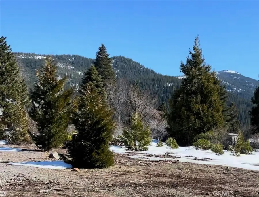 3333 Cedar Lane, Lake Almanor, CA 96137 - Image #2