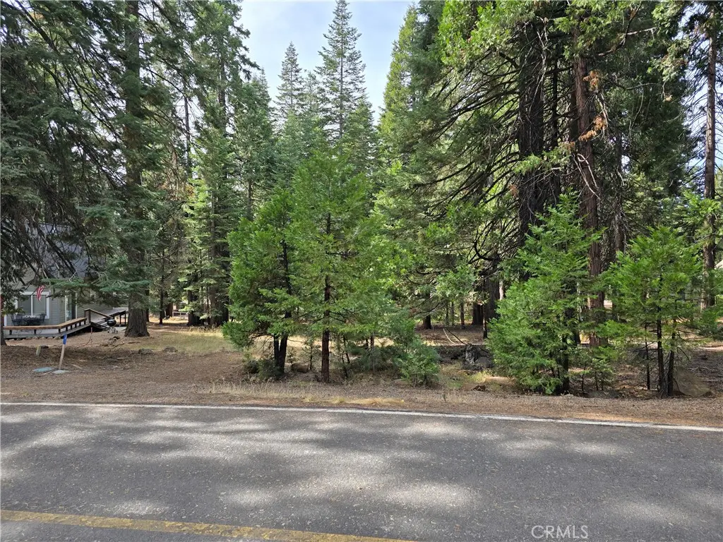 615 Clifford Trail, Lake Almanor, CA 96137 - #1