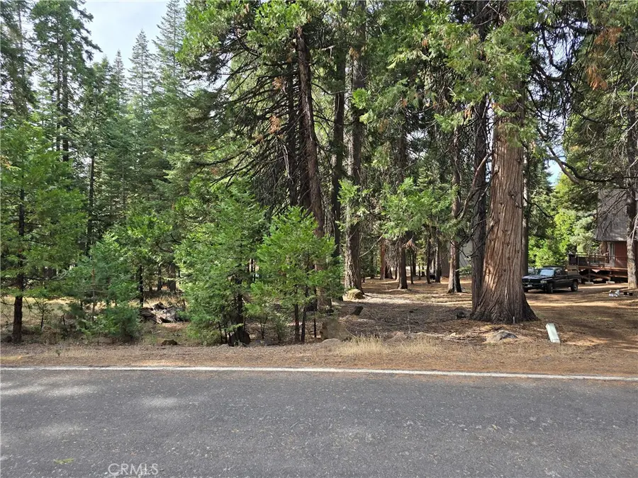 615 Clifford Trail, Lake Almanor, CA 96137 - #2