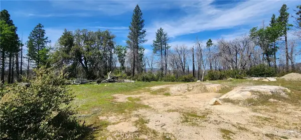 51 Horseshoe Trail, Berry Creek, CA 95916