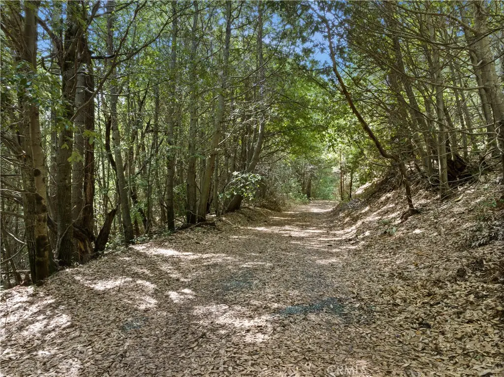 63 Binet Road, Clipper Mills, CA 95930 - Image #1