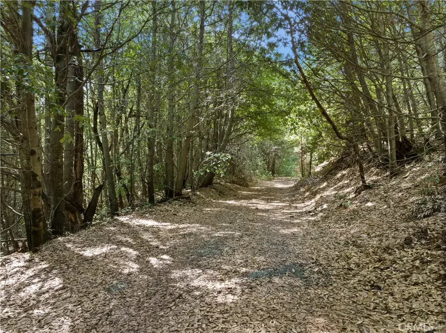 63 Binet Road, Clipper Mills, CA 95930 - Image #3