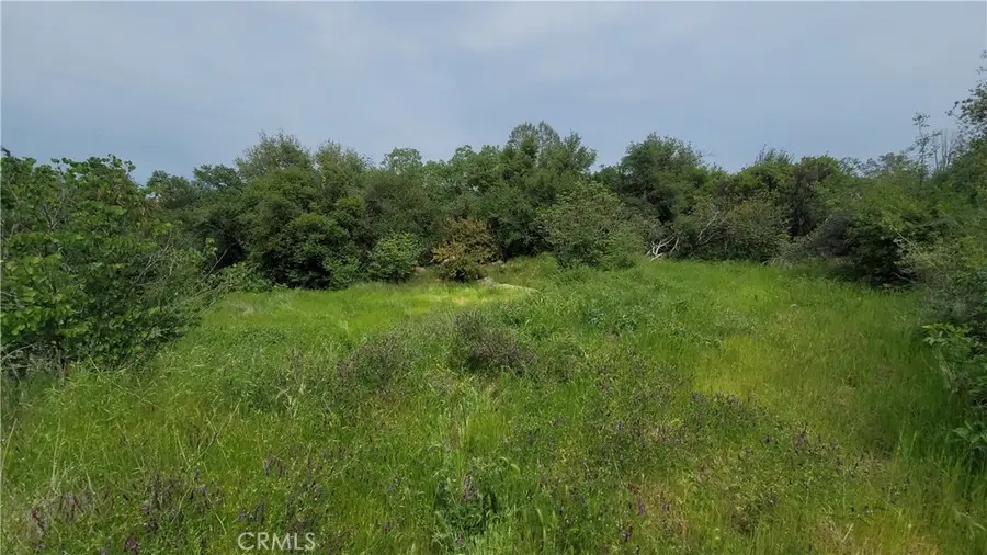 27048 Lack Creek Drive, Shingletown, CA 96088 - Image #2