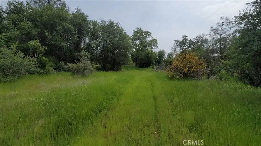 27048 Lack Creek Drive, Shingletown, CA 96088 - Image #3