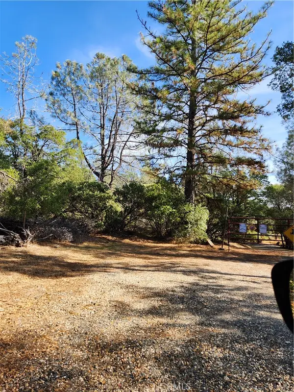 7949 Marie Lane, Rackerby, CA 95972