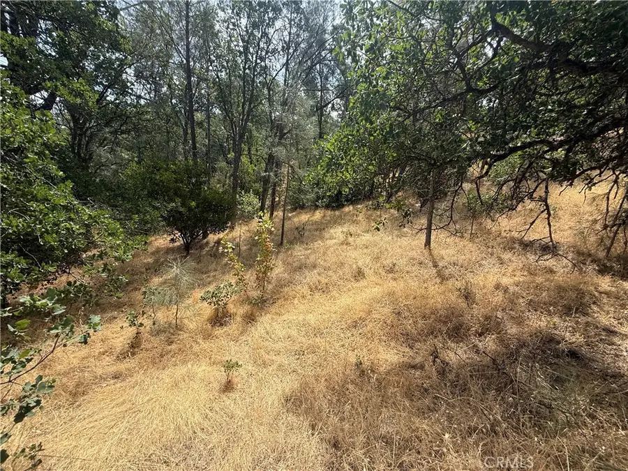 16295 Hillcrest Drive, Corning, CA 96021 - Image #3