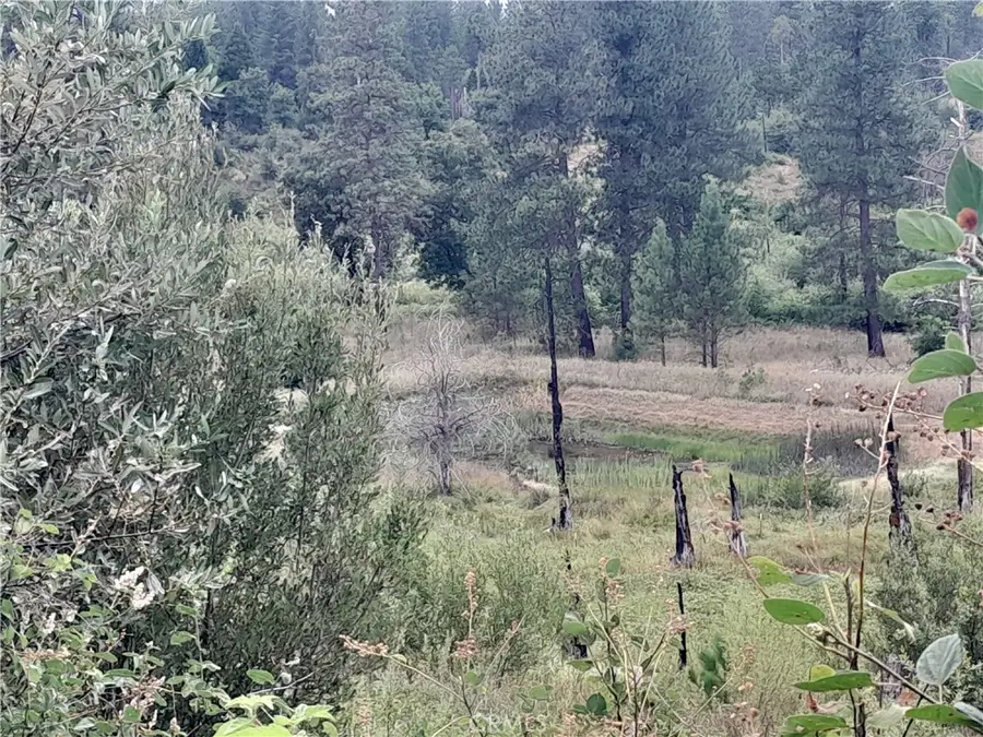 3979 Yellow Wood Road, Oroville, CA 95965 - Image #2