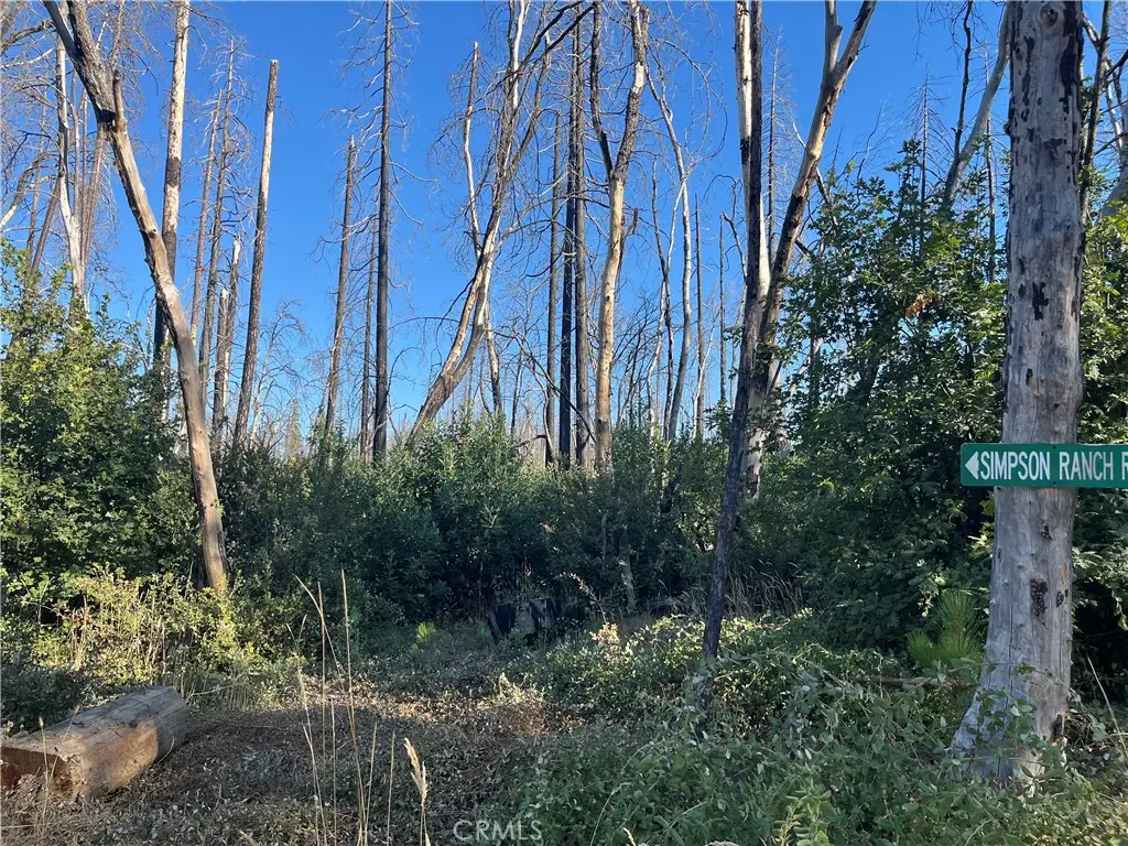 0 Bay Ranch Road, Berry Creek, CA 95916 - #1