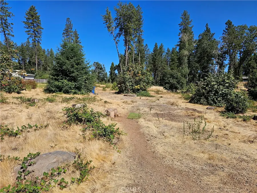 1533 Forest Service Rd, Paradise, CA 95969 - Image #3