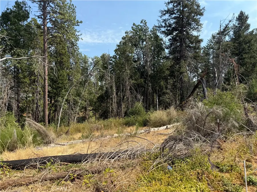 1706 Young Avenue, Paradise, CA 95969 - Image #3