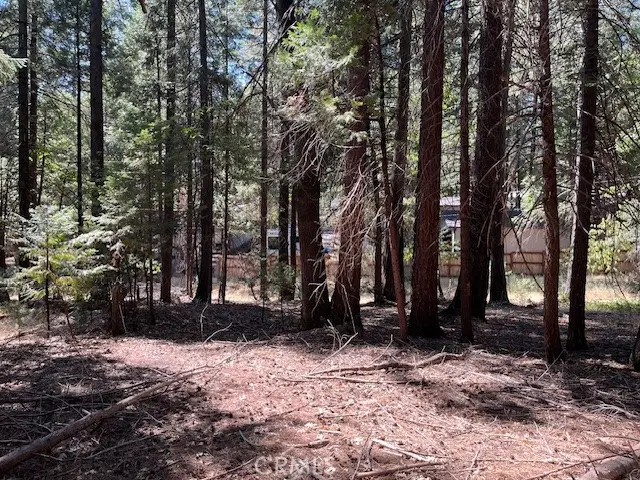 15075 Oakleaf, Magalia, CA 95954 - Image #3