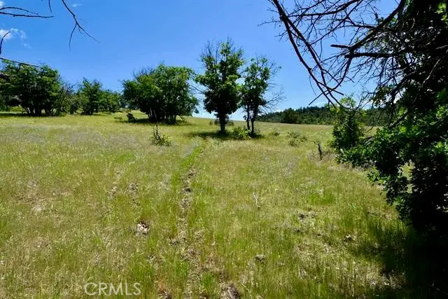 0 Yellow Dog Trail, Hornbrook, CA 96044 - #3