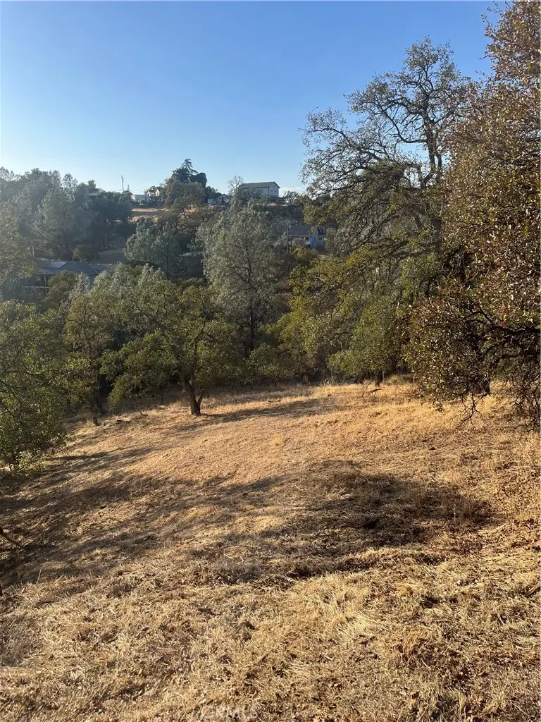 175 Lemon Hill, Oroville, CA 95966 - Image #2