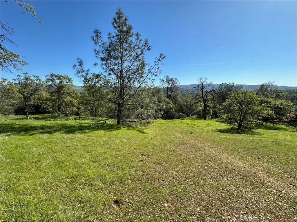 169 Shady Oak Drive, Oroville, CA 95966 - #1