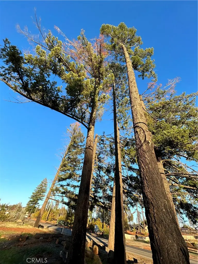 8561 Skyway, Paradise, CA 95969 - Image #1