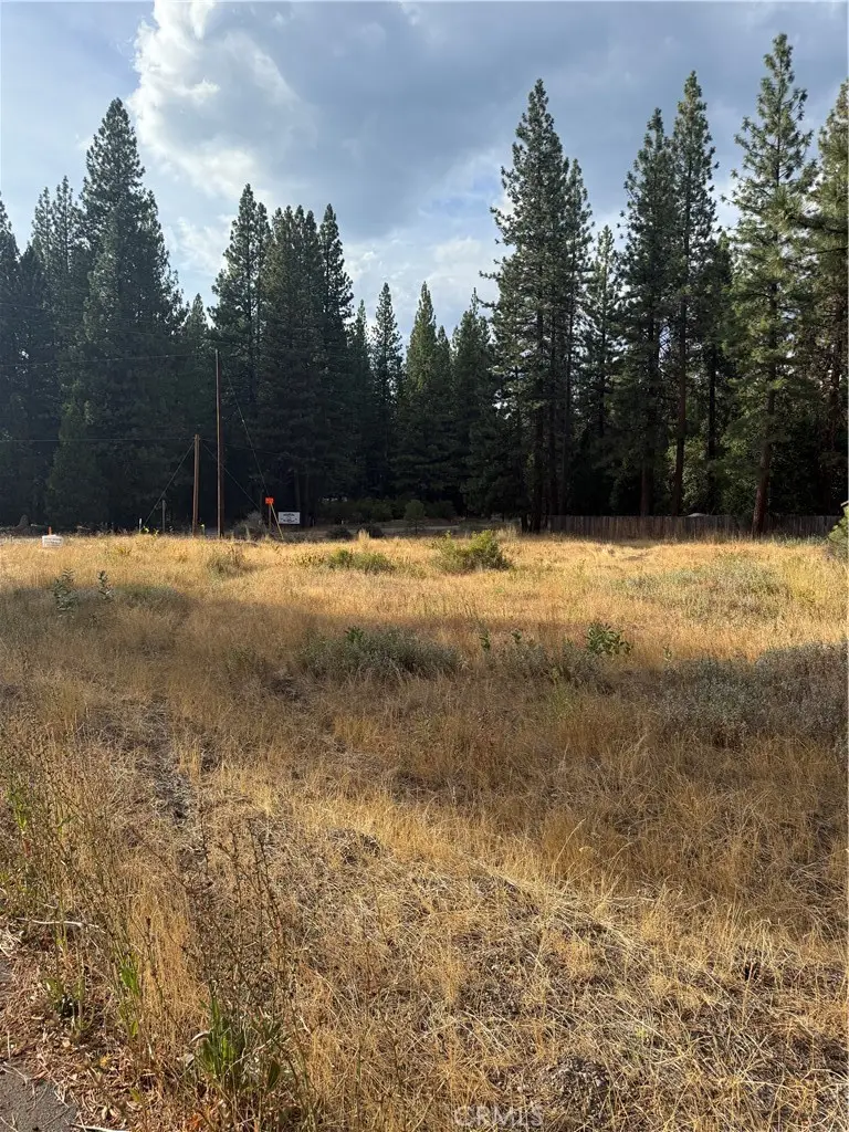 58373 Ca-70, Cromberg, CA 96103 - Image #3