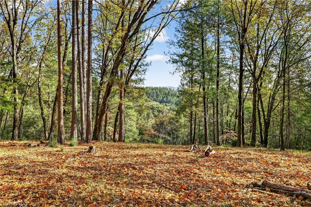 0 Burgundy Lane, Forest Ranch, CA 95942 - Image #1