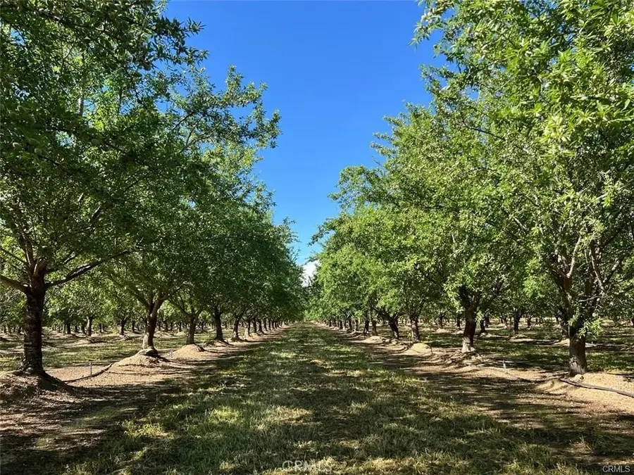 0 Capay Road, Corning, CA 96021 - Image #2